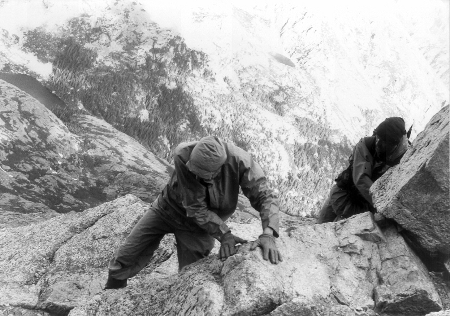 466 MiltonLongs Catwalk 92